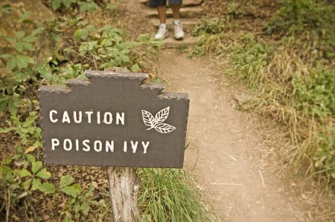 poisonous plants