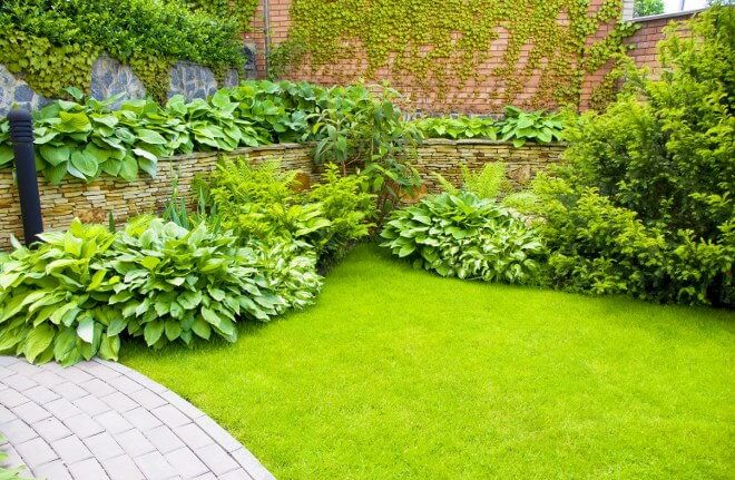Keeping Your Lawn and Garden Clear