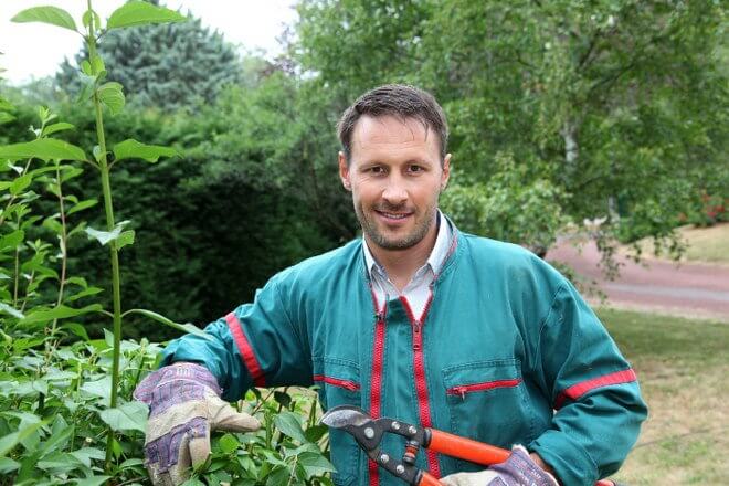 What to Consider when Hiring Professional Gardening Services