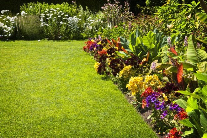 Planning a Flower Garden - Annuals vs. Perennials