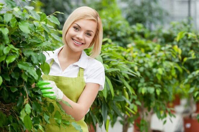 Gardening Can Improve Your Health
