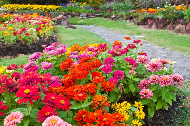 10 Heat-tolerant Plants
