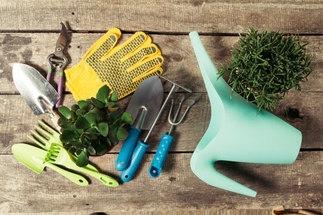 Six Gardening Tools You Will Need Next Summer