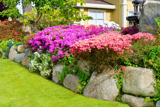 10 Gardening Facts You Were Not Aware Of