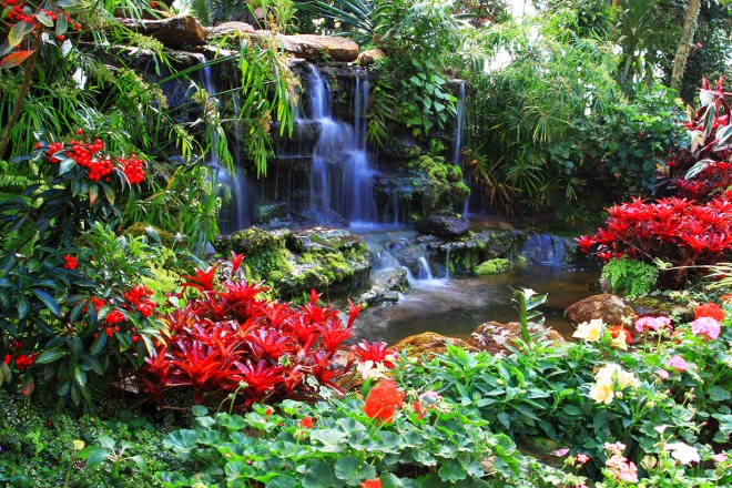 Adding a Beautiful Waterfall for a Peaceful Backyard