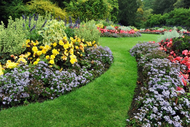 Top 5 Organic Pest Control Techniques for Your Garden