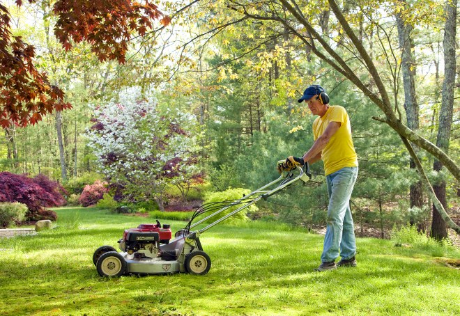 Top Gardening Tips: Things to Do in October