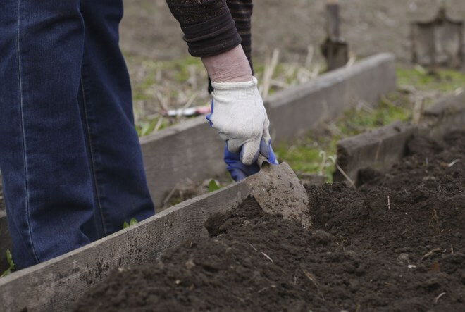 garden maintenance