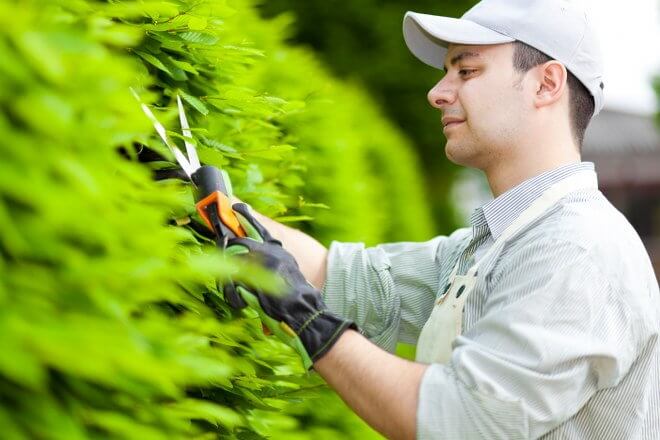 gardening services