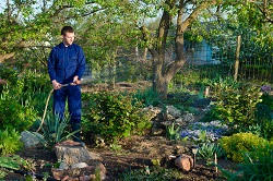 London Landscape Gardeners