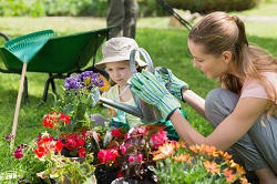 London Landscapers