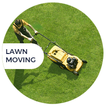 Lawn Moving