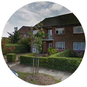 Hampstead Garden Suburb Tree Care N2