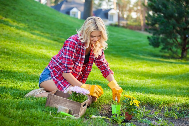 spring planting