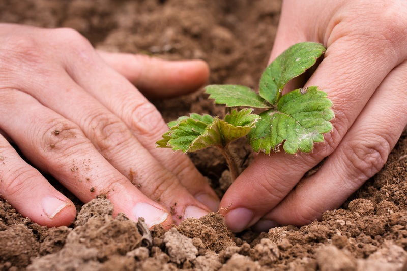 garden maintenance irrigation system