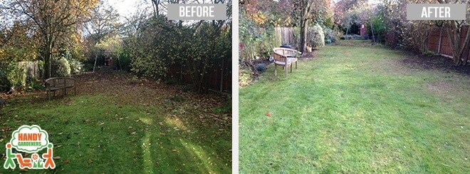 Hedge Trimming in Bracknell Forest SL4