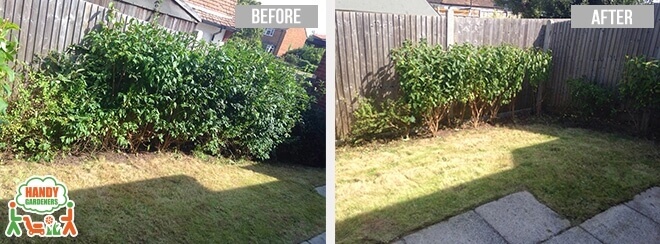 Landscaping Services in Brondesbury