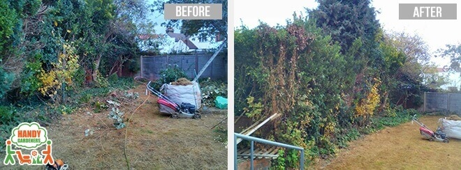 Gardening Services in Catford