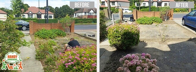 Gardeners in Chalk Farm