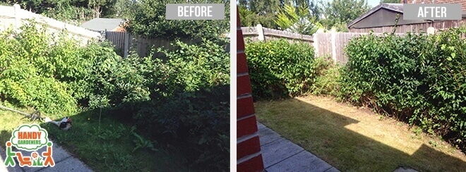 Special Deals on Landscaping Services Enfield Town