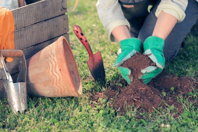 landscaping