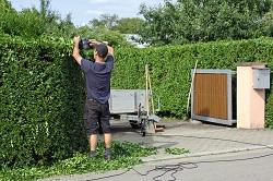DIY Gardening vs. Gardening Professionals