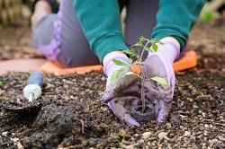 How To Clean Your Garden In Islington