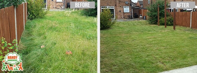 Leaf Clearance in Hemel Hempstead HP1