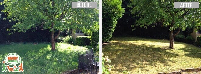 Expert Landscapers Hoxton N1