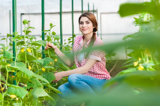 weed removal