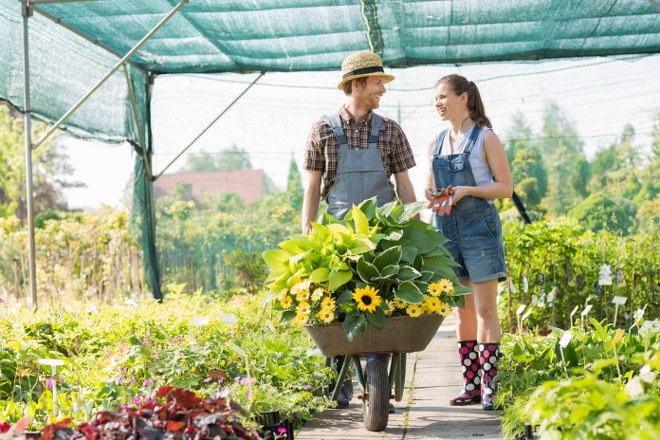 garden maintenance