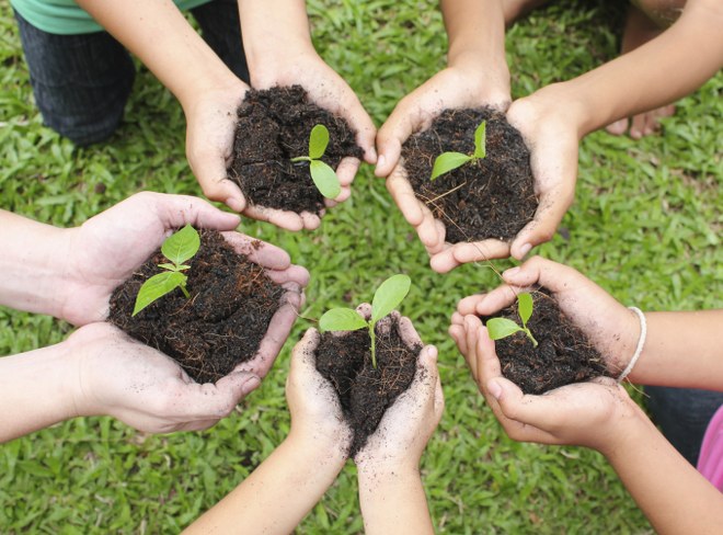 planting