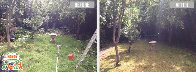 HA2 Garden Maintenance in South Harrow