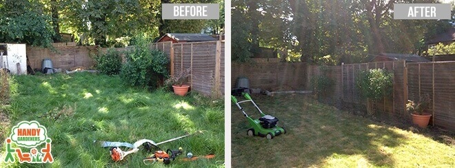 SW8 Landscaping Services in Stockwell