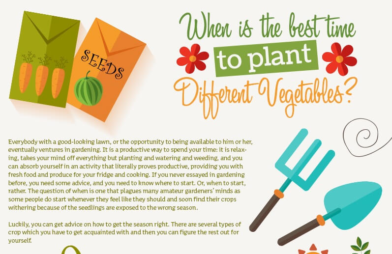 When Is the Best Time to Plant Different Vegetables?