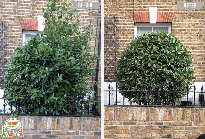 E1W Gardeners in Wapping