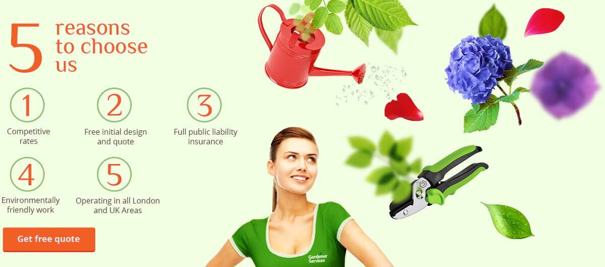 5 reasons to choose us